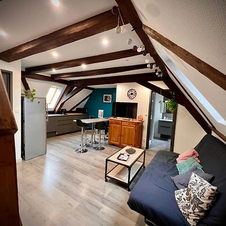 Gite Du Figuier 4 A 6 Personnes Selestat Centre-Alsace エクステリア 写真