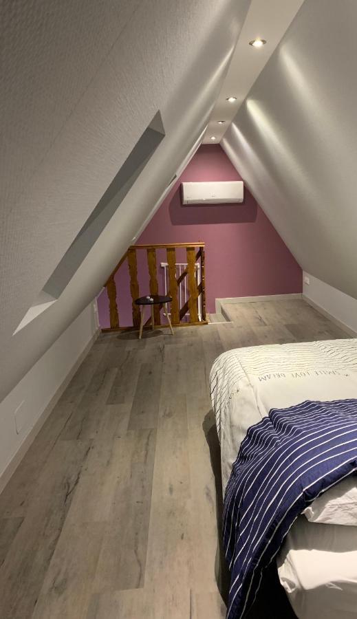 Gite Du Figuier 4 A 6 Personnes Selestat Centre-Alsace エクステリア 写真
