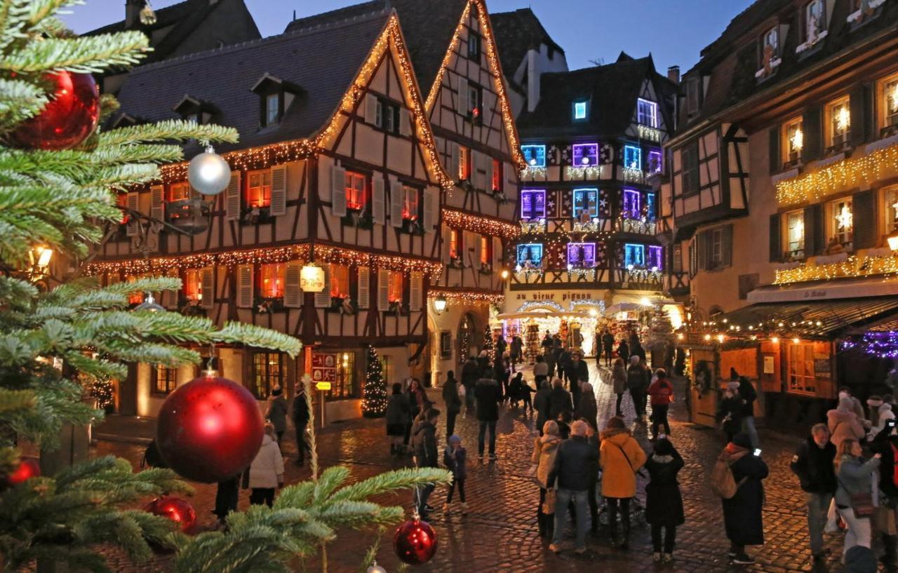 Gite Du Figuier 4 A 6 Personnes Selestat Centre-Alsace エクステリア 写真